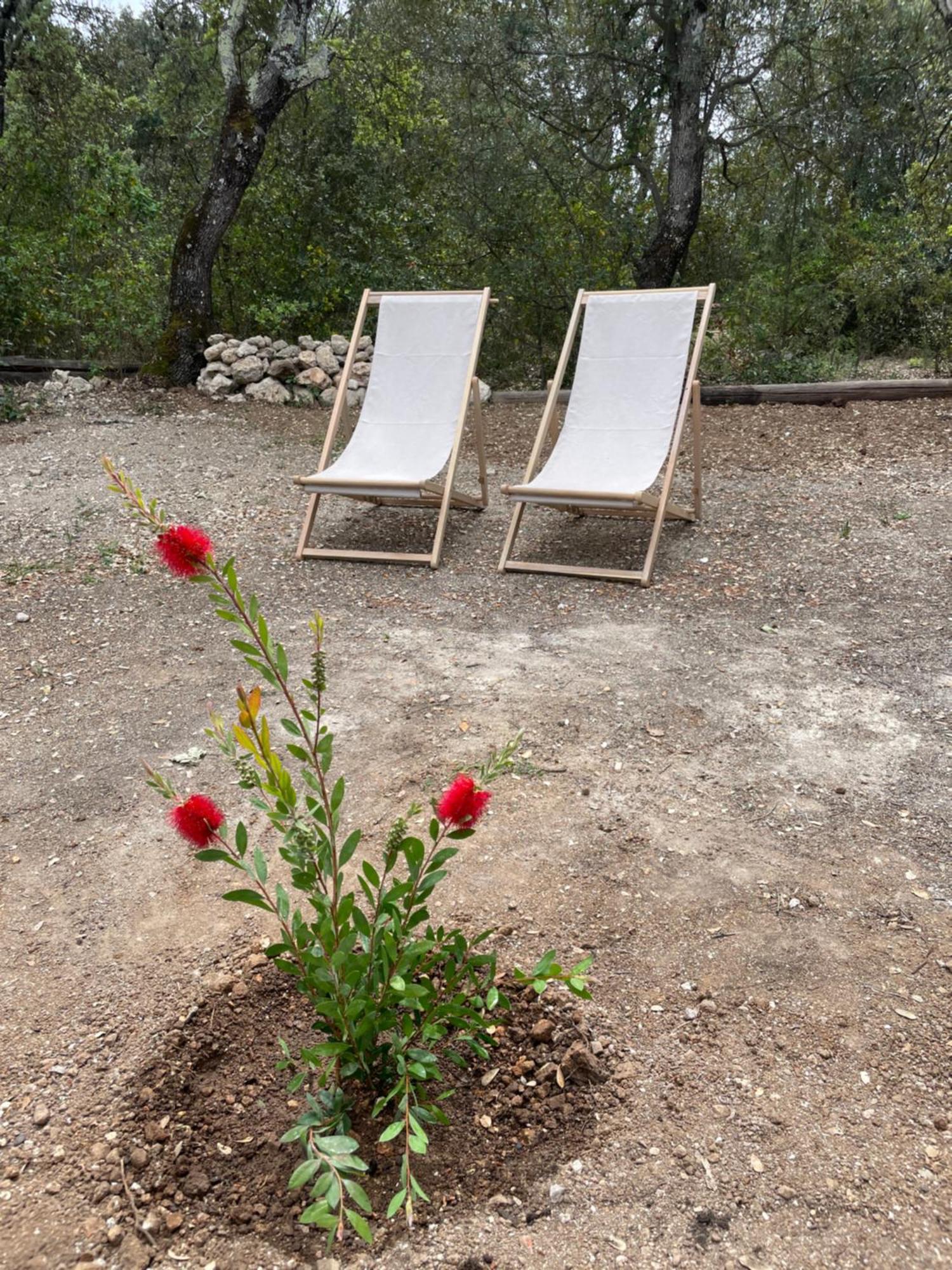 La Parenthese Du Var - Chambre D'Hotes Petits Dejeuners Inclus Et Terrasse Ombragee Saint-Antonin-du-Var ภายนอก รูปภาพ